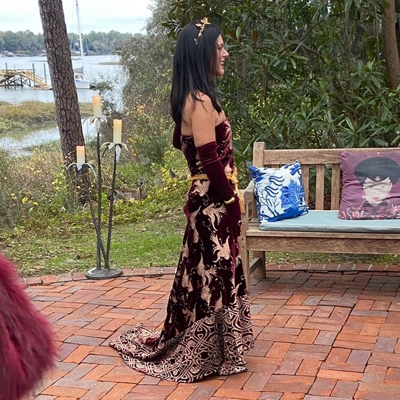 Roberto Cavalli Runway Strapless Velvet Evening Gown - Picture 7 of 16